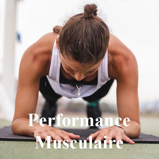 Performance Musculaire