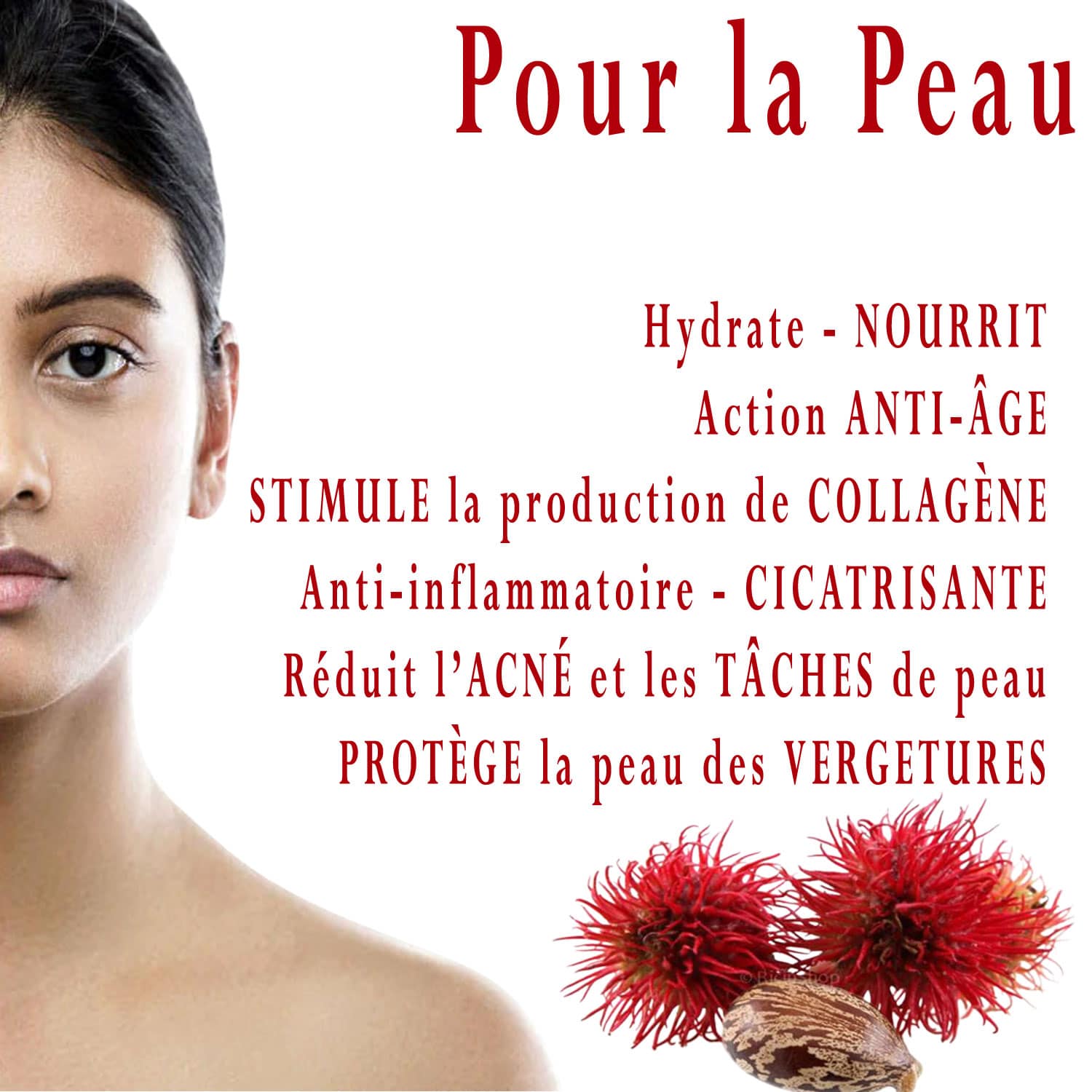 Huile de Ricin Bio – Image 5