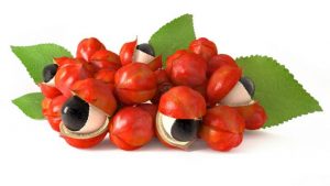 vertus bénéfices guarana aux multiples bienfaits