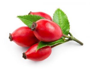 Rosehip graine rose musquée organic