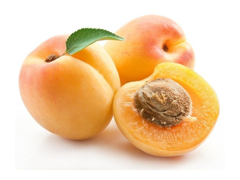 Noyaux d'abricot kernel pour la fabrication d'huile cosmétique Noyaux d'abricot kernel pour la fabrication d'huile cosmétique
