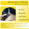 gel aloe vera bio au citron régulateur de sébum peau et cheveux
