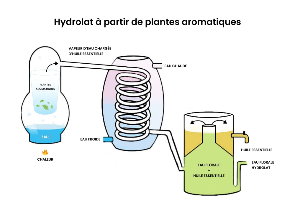 Voici comment est réalisé un hydrolat ou eau florale à partir de plantes aromatiques Voici comment est réalisé un hydrolat ou eau florale à partir de plantes aromatiques
