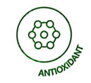 ANTIOXYDANTS