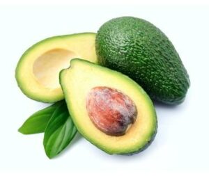 Avocat Fruit