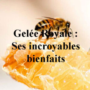 bienfaits gelée royale