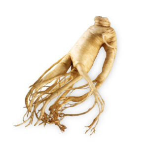 Les bienfaits du ginseng rouge de Corée