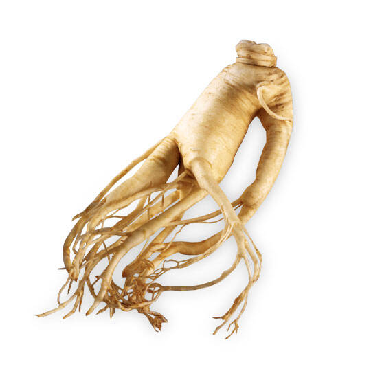 Les bienfaits du ginseng rouge de Corée