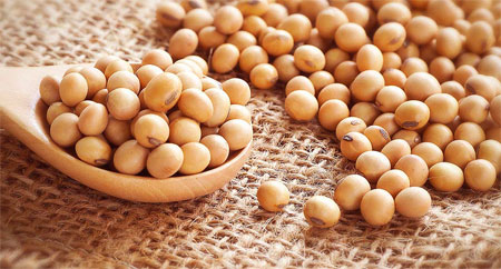 isoflavones, quels bienfaits pour les femmes