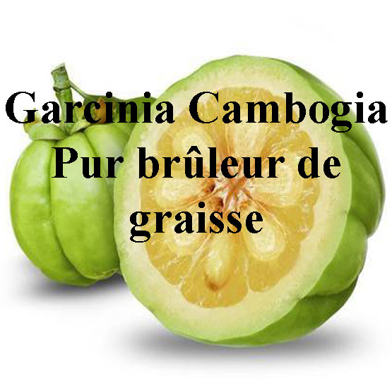 Garcinia bienfaits santé