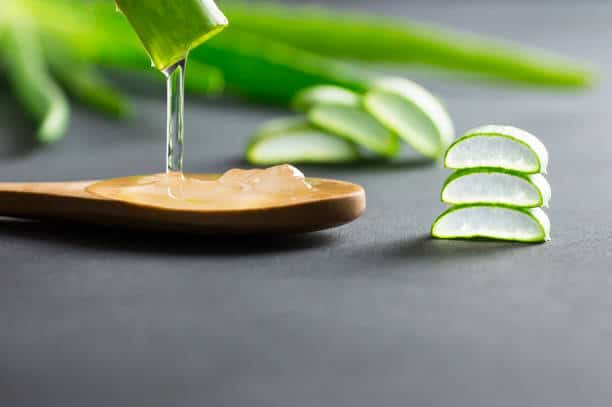 aloe vera, gel bio pur à 100% pour les soins du visage, des rides et des cheveux