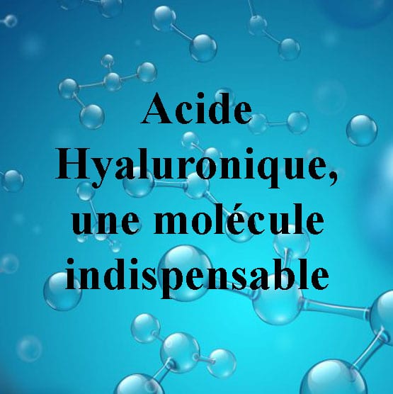 Acide hyaluronique, une molécule indispensable
