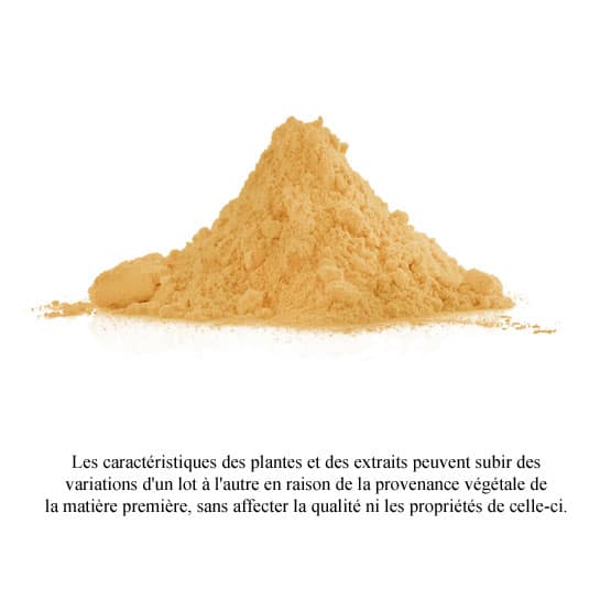 ingrédient collagène poudre